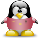 portugal,penguin,animal icon