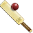cricket icon