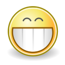 face, grin svg vector icon
