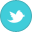 twitter,variation,old icon