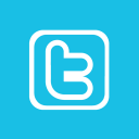 twitter,alt icon