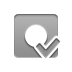 record,checkmark icon
