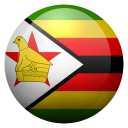 zw icon