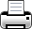 print icon