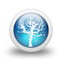 glossy,blue,orb icon