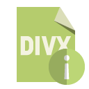 file,format,divx,info icon