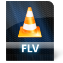 flv icon