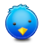 bird,twitter icon