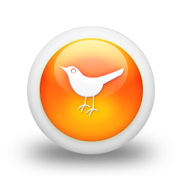 twitter,bird,animal,social network,social,sn icon