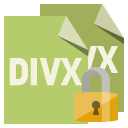 file,format,divx,lock icon