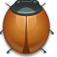 bug, ladybug icon