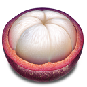 food, fruit, mangosteen icon
