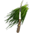 fresch,cut,wheatgrass icon