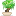 bonsai icon