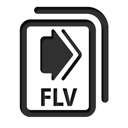 flv icon