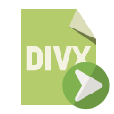 file,format,divx,right icon