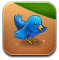 twitter icon