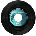 dvd,music,record,disc icon