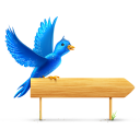 bird,sign,twitter,sparkle,animal,social network,social,sn icon