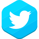 social network, twitter svg vector icon