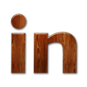 linkedin,logo icon