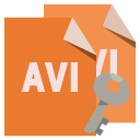 file,format,avi,key icon