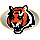 bengal icon