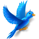 flying,bird,twitter,sparkle,animal,social network,social,sn icon