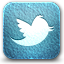 twitter icon