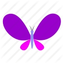 butterfly, fly, insect, insects icon