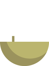 boat icon