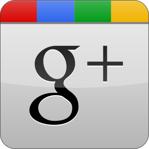 googleplus,grey,gloss icon