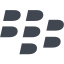 blackberry svg vector icon