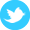 twitter icon