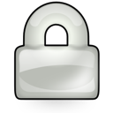 application,proprietary icon