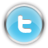 twitter,social network,social,sn icon
