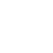 appbar,chess,queen icon