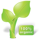 leaf, nature, organic, plant icon