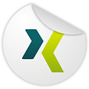xing icon