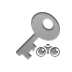 key,binoculars icon