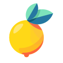 citrus, dessert, food, fruit, health, orange, tropical svg vector icon
