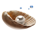 pearl icon