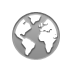 world icon
