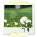 duqi 58 icon
