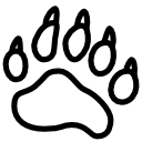 bear,footprint icon