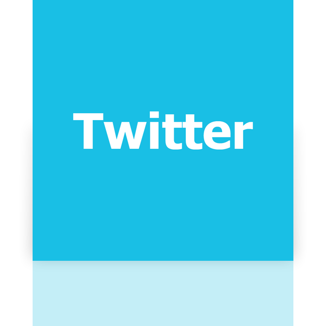 twitter,mirror icon