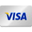 visa icon