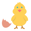 chicken, chickling, easter, egg, shell, spring svg vector icon