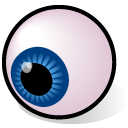 eyeball,view,watch icon