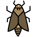bug, insect, moth, nature svg vector icon